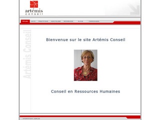 ARTEMIS CONSEIL