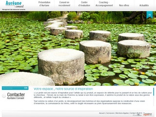 AUREANE CONSEIL