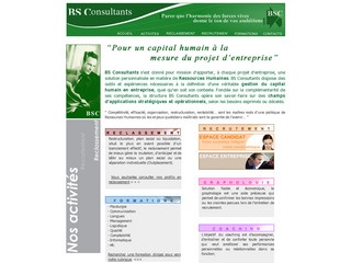 BS CONSULTANTS