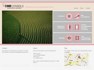 CMB CONSEILS