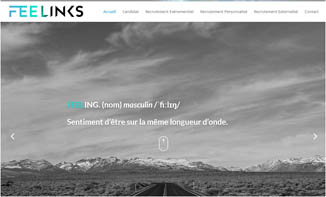 FEELINKS