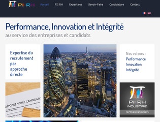 PIIRH EXECUTIVE SEARCH